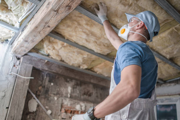 Best Insulation Maintenance and Repair in Kent Acres, DE